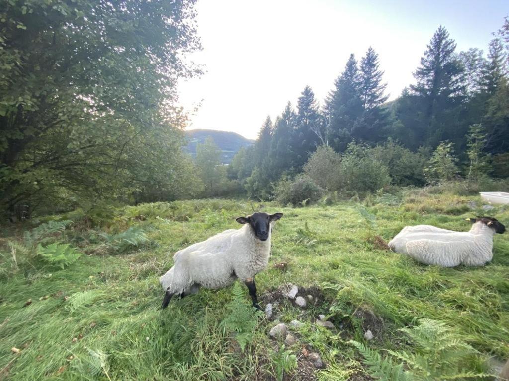 Le Ptit Rupt Villa Buitenkant foto